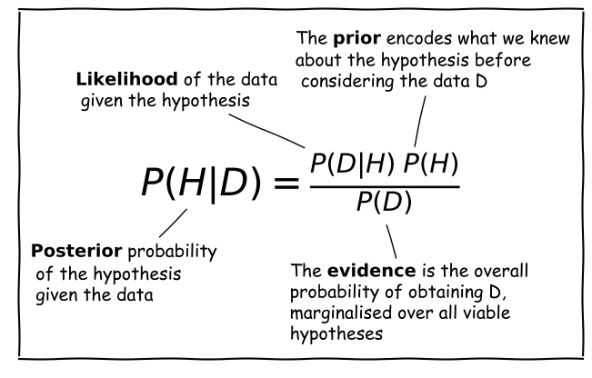 Bayes anatomy